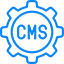 CMS Development