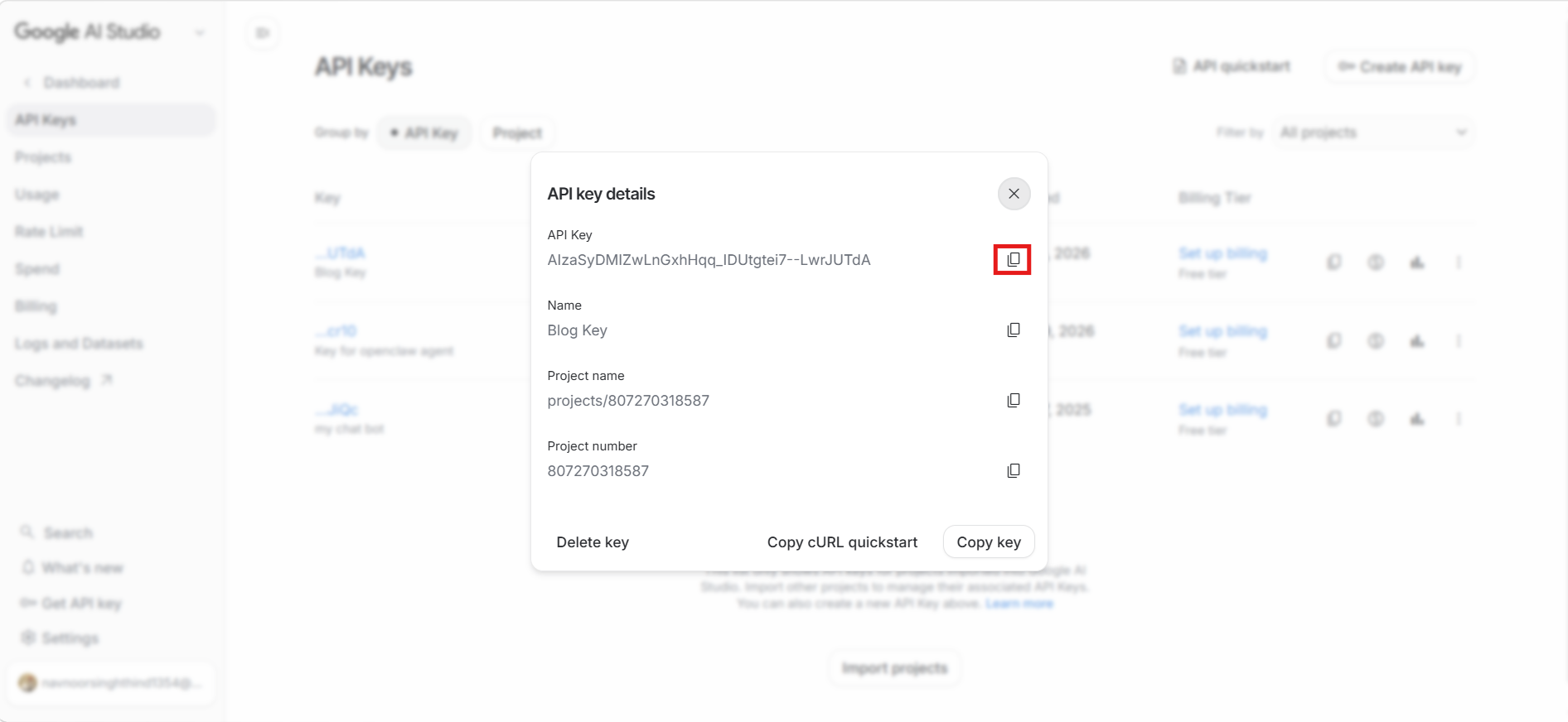 Copy Google AI Studio API key